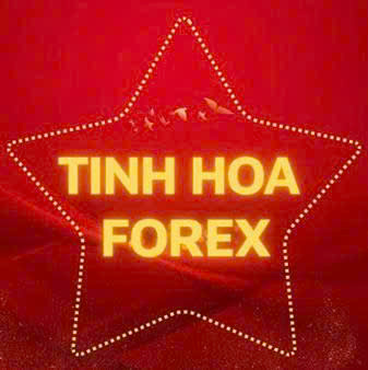 Tinh Hoa Forex logo